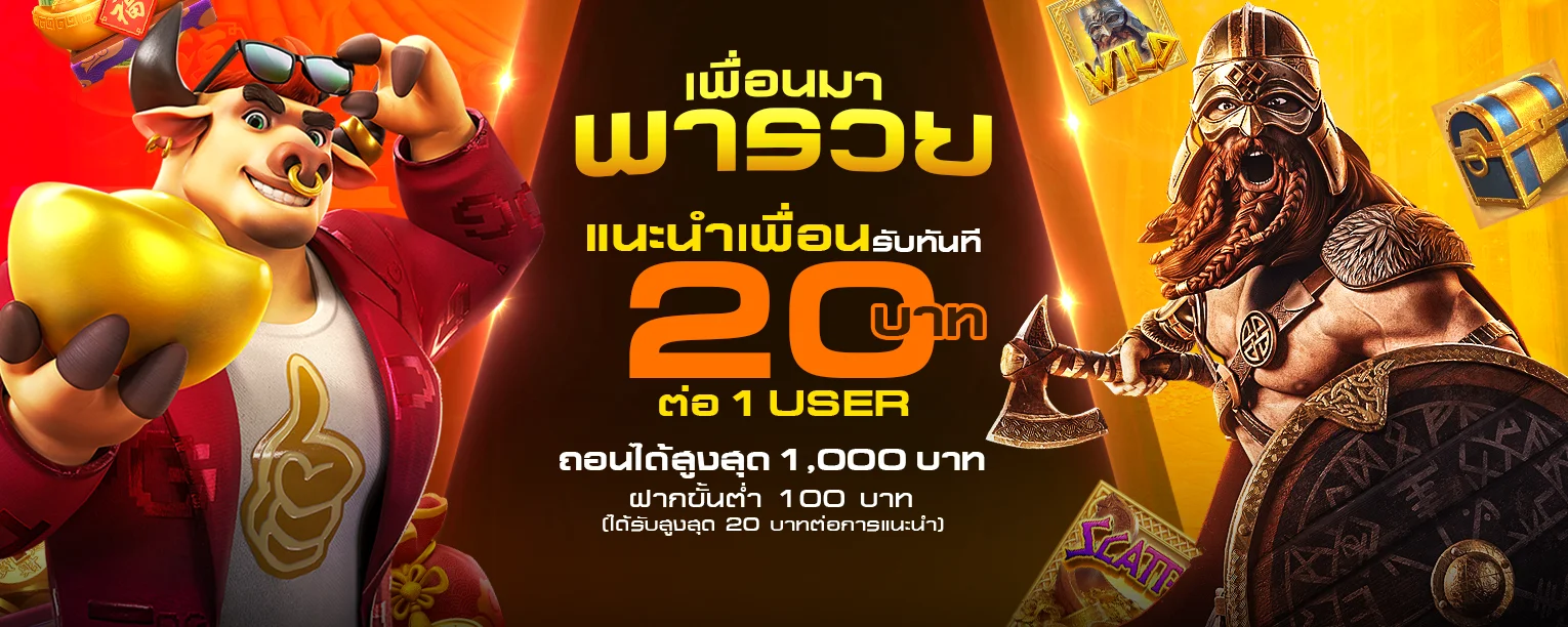 baiboon banner