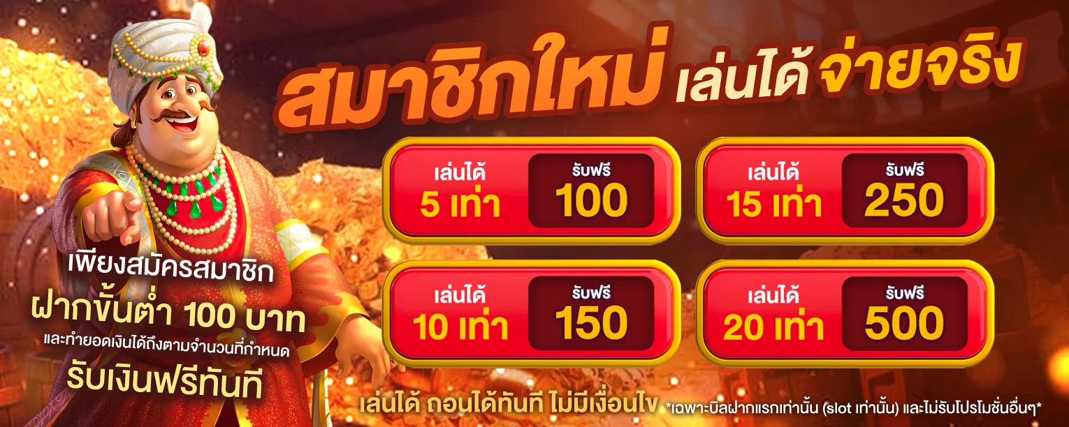 baiboon banner