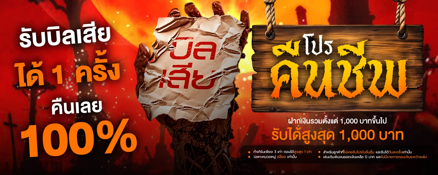 baiboon banner